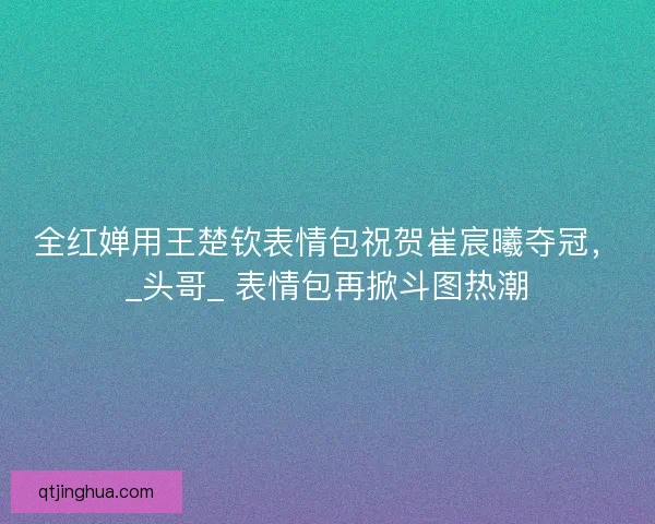 全红婵用王楚钦表情包祝贺崔宸曦夺冠，_头哥_ 表情包再掀斗图热潮