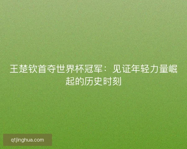 王楚钦首夺世界杯冠军：见证年轻力量崛起的历史时刻