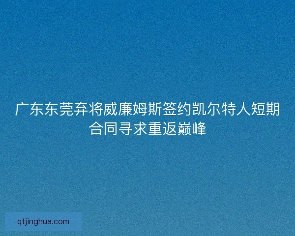 广东东莞弃将威廉姆斯签约凯尔特人短期合同寻求重返巅峰