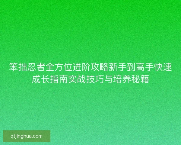 笨拙忍者全方位进阶攻略新手到高手快速成长指南实战技巧与培养秘籍